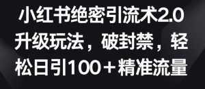小红书绝密引流术2.0升级玩法,破封禁,轻松日引100+精准流量【揭秘】-项目资源库