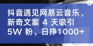 抖音遇见网易云音乐，新奇文案 4 天吸引 5W 粉，日挣1000+【揭秘】-项目资源库