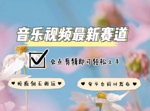 音乐视频赛道最新玩法，纯原创不违规，可所有平台同时发布，会点剪辑即可轻松拿捏【揭秘】-项目资源库