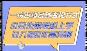 一份资料多种变现方式，小白也能轻松上手，日入800不是问题【揭秘】-项目资源库