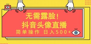 无需露脸,Ai头像直播项目,简单操作日入500+【揭秘】-项目资源库