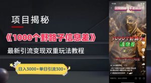 一千个野路子信息差最新玩法教程-变现+引流的玩法具体拆解【揭秘】-项目资源库