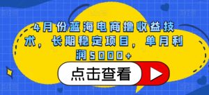4月份蓝海电商撸收益技术,长期稳定项目,单月利润5000+【揭秘】-项目资源库