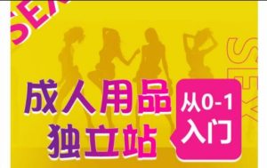 成人用品独立站从0-1入门，成品独立站运营全流程教学，七大好卖成品独立站推荐-项目资源库