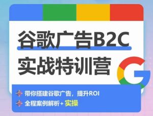 谷歌广告B2C实战特训营,500+谷歌账户总结经验,实战演示如何从0-1搭建广告账户-项目资源库