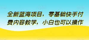 全新蓝海项目,零基础快手付费内容教学,小白也可以操作【揭秘】-项目资源库