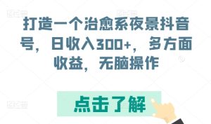 打造一个治愈系夜景抖音号，日收入300+，多方面收益，无脑操作【揭秘】-项目资源库