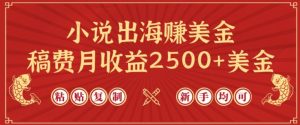 小说出海赚美金，稿费月收益2500+美金，仅需chatgpt粘贴复制，新手也能玩转【揭秘】-项目资源库