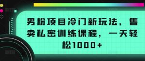 男粉项目冷门新玩法，售卖私密训练课程，一天轻松1000+【揭秘】-项目资源库