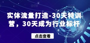 实体流量打造-30天特训营,30天成为行业标杆-项目资源库