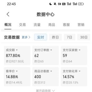 拼多多虚拟U盘电商红利项目:月赚2万+,新手小白也能玩-项目资源库