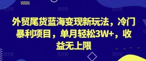 外贸尾货蓝海变现新玩法,冷门暴利项目,单月轻松3W+,收益无上限【揭秘】-项目资源库