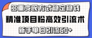 精准项目粉高效引流术，新手单日引流50+，多重变现方式稳定赚钱【揭秘】-项目资源库