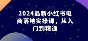 2024最新小红书电商落地实操课,从入门到精通-项目资源库