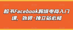 脸书Facebook跨境电商入门课，外贸·独立站必修-项目资源库
