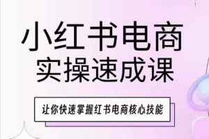 小红书电商实操速成课,让你快速掌握红书电商核心技能-项目资源库