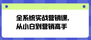 全系统实战营销课，从小白到营销高手-项目资源库
