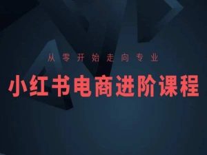从零开始走向专业,小红书电商进阶课程-项目资源库