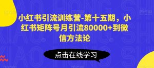 小红书引流训练营-第十五期,小红书矩阵号月引流80000+到微信方法论-项目资源库
