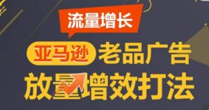 亚马逊流量增长-老品广告放量增效打法，循序渐进，打造更多TOP listing​-项目资源库