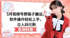 5月视频号野路子搬运，软件操作轻松上手，日入三位数【揭秘】-项目资源库