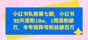 小红书私教第七期,小红书90天涨粉18w,1周涨粉破万,半年矩阵号粉丝破百万-项目资源库