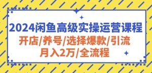 2024闲鱼高级实操运营课程:开店/养号/选择爆款/引流/月入2万/全流程-项目资源库