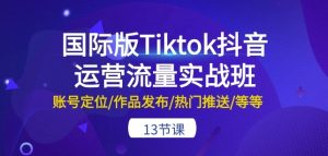 国际版Tiktok抖音运营流量实战班：账号定位/作品发布/热门推送/等等-13节-项目资源库