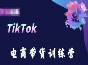 TikTok电商带货训练营，跟随时代潮流，跨境掘金-项目资源库