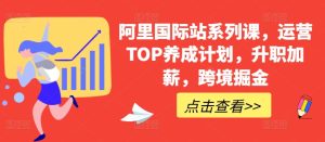 阿里国际站系列课，运营TOP养成计划，升职加薪，跨境掘金-项目资源库