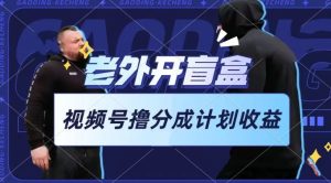 老外开盲盒视频，撸视频号分成计划收益，每天只需一小时，新手小白轻松上手【揭秘】-项目资源库