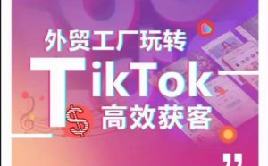 外贸工厂玩转TikTok高效获客,多种引流方式与账号定位技巧,拆解爆款短视频打造成功案例-项目资源库