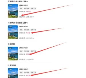 磁力聚星游戏副业陪跑训练营1.0，长期稳定项目，有人一周干了1K+-项目资源库