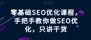 零基础SEO优化课程,手把手教你做SEO优化,只讲干货-项目资源库