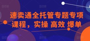 速卖通全托管专题专项课程,实操 高效 爆单-项目资源库