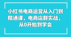 小红书电商运营从入门到精通课，电商店群实战，从0开始到学会-项目资源库