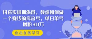 抖音实训训练营，教你如何做一个赚钱的抖音号，单日单号增粉30万-项目资源库