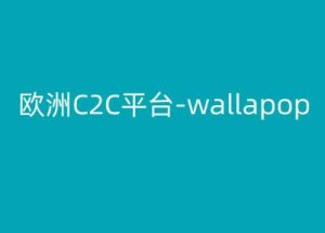 欧洲C2C平台-wallapop-kim跨境电商教程-项目资源库