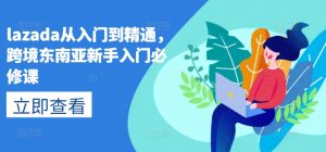 lazada从入门到精通,跨境东南亚新手入门必修课-项目资源库