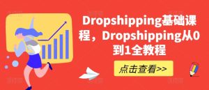 Dropshipping基础课程，Dropshipping从0到1全教程-项目资源库