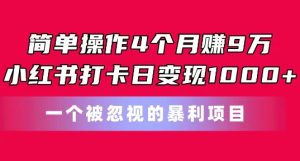 简单操作4个月赚9w,小红书打卡日变现1k,一个被忽视的暴力项目【揭秘】-项目资源库