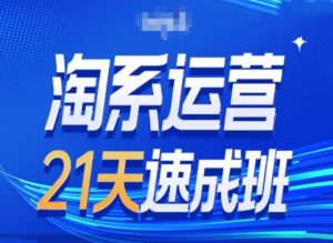 淘系运营24天速成班第28期最新万相台无界带免费流量-项目资源库