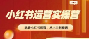 2024小红书运营实操营,从入门到精通,完成从0~1~100-项目资源库
