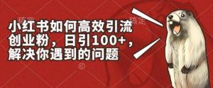 小红书如何高效引流创业粉，日引100+，解决你遇到的问题【揭秘】-项目资源库