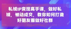 私域IP变现高手课,做好私域,被动成交,教你如何打造好朋友圈做好社群-项目资源库