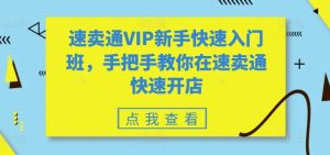 速卖通VIP新手快速入门班,手把手教你在速卖通快速开店-项目资源库