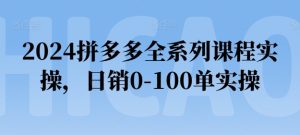 2024拼多多全系列课程实操，日销0-100单实操【必看】-项目资源库