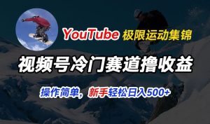 视频号冷门赛道撸收益，YouTube搬运极限运动集锦，暴力起号，操作简单流量高，轻松日入5张【揭秘】-项目资源库