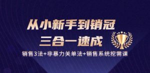 从小新手到销冠 三合一速成:销售3法+非暴力关单法+销售系统挖需课 (27节)-项目资源库
