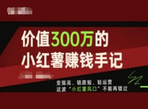 价值300万的小红书赚钱手记，变现高、链路短、轻运营，这波“小红薯风口”不能再错过-项目资源库